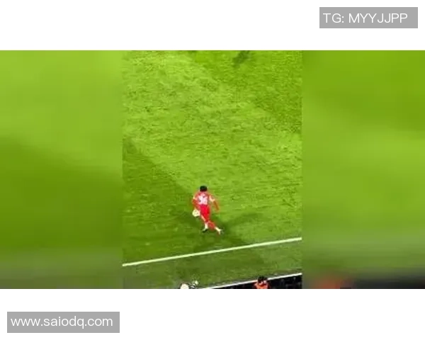 足球球星赛场炫技插花脚瞬间点燃全场观众热烈掌声